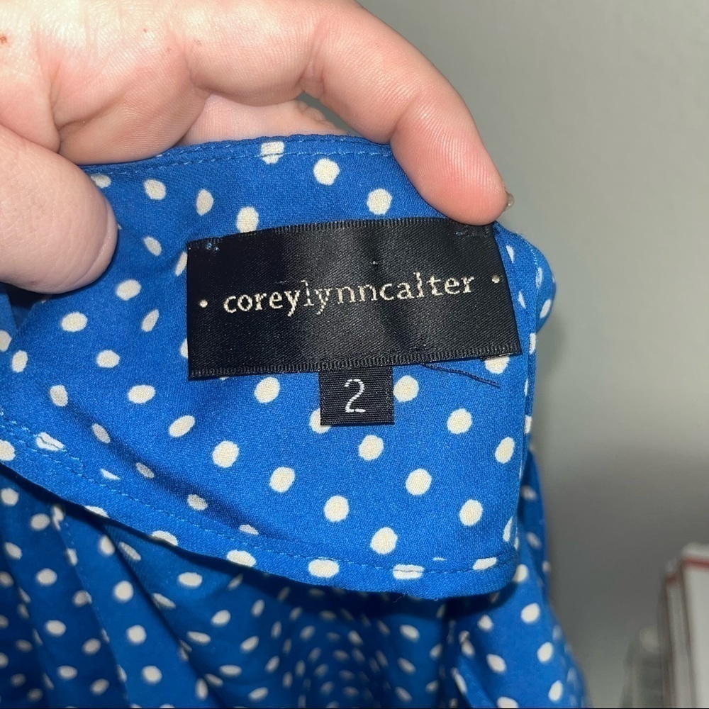 Corey Lynn Calter Anthropologie blue and white polka dot silk shirt open back - Picture 7 of 8
